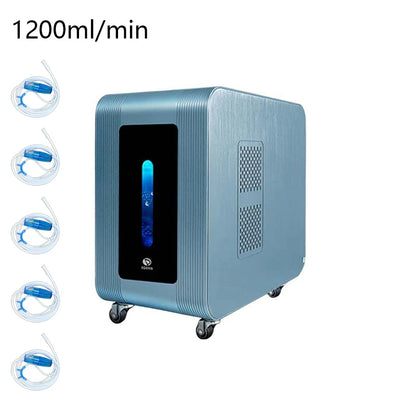 High Purity Hydrogen Water Generator Quiet Hydrogen Inhalation Machine O2 HHO Double Outlet Hydrogen Water Device 1200ML 1800ML