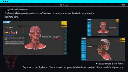 3D Web Application (Training-Botox and Filler)