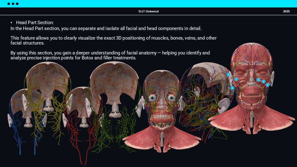 3D Web Application (Training-Botox and Filler)