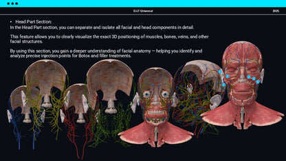 3D Web Application (Training-Botox and Filler)